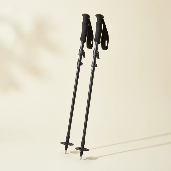 Black Diamond trekking poles carbon